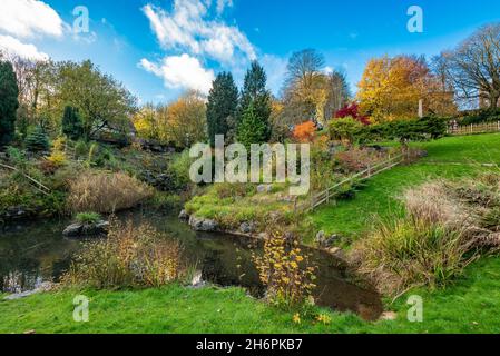 Autumn colours at the Japanese gardens in Avenham Park, Preston, Lancashire, UK. Stock Photo