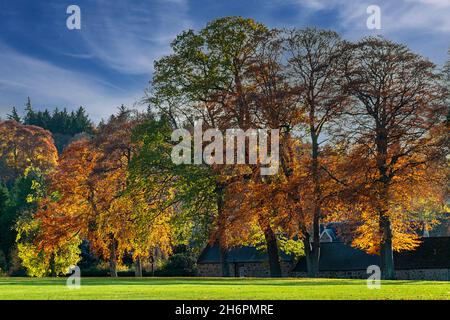 FORRES MORAY SCOTLAND HOUSES IN GRANT PARK AND TREES WITH LEAVES IN AUTUMNAL COLOURS Stock Photo