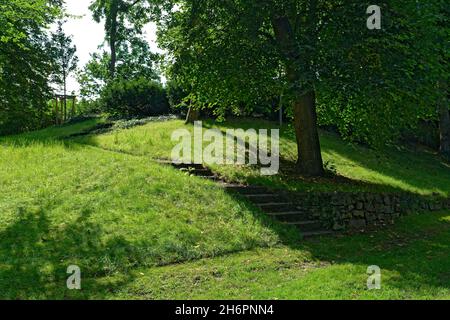 Bäume und Gartentreppe an einem sonnigen Hügel - Trees and garden stairs on a sunny hill Stock Photo