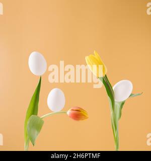 Trendy Easter composition made with yellow and orange tulips and white eggs balancing on top of them. Creative, minimal oncept. Stock Photo
