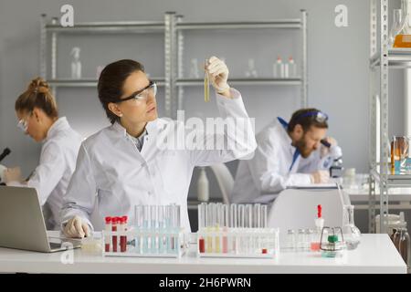 Female scientist is working on the development of a new drug in a medical laboratory. Stock Photo
