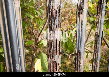 rusting metal fence Liverpool merseyside uk Stock Photo