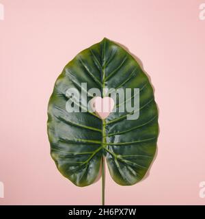 Creative minimal flat lay with green leaf and heart shape inside of it. Trendy and pastel pink Valentine's Day composition. Stock Photo