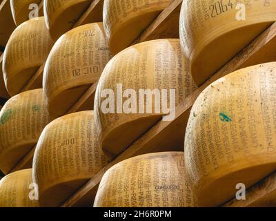 parmesan Parmigiano Reggiano cheese wheel maturing in the diary farm manufacturing storage in a special atmosphere in Parma Italy Stock Photo