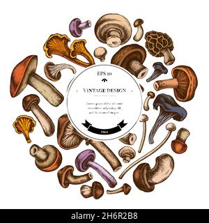 Round design with colored oyster mushroom, champignon, honey agaric, shiitake, porcini, morel mushroom, chanterelle, aspen mushroom, enoki , shimeji Stock Vector