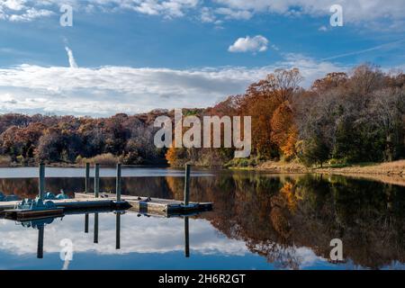 Photo of leaves turning colors by a lake in Virginia as the season changes. Stock Photo