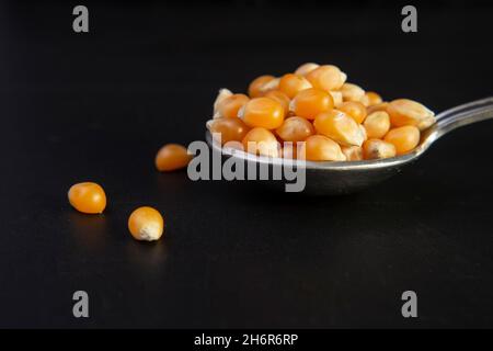 silver tea spoon full of pop corn seeds , isolated on black Stock Photo