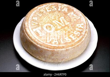 Turin, Piedmont, Italy. -10-22-2010- The food fair 'Salone del Gusto'. Toma cheese of Piedmont Stock Photo