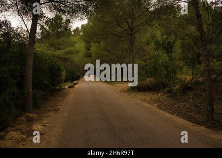 Landscape along the ebro greenway in the province of Tarragona, Spain Stock Photo