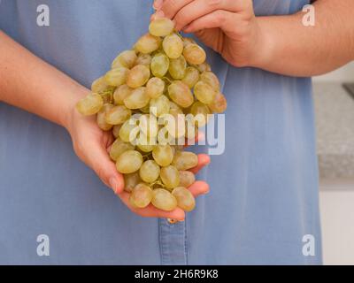 A woman holding freshly harvested bunch of grapes in her hands. Close up. Stock Photo