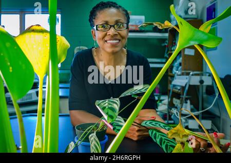A biology teacher poses with plants in her classroom, Aug. 6, 2012, in Columbus, Mississippi. Stock Photo