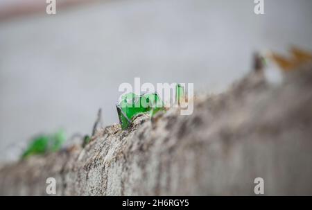 Wall top covered with broken glass. Sharp pieces inlaid on mortar Stock Photo