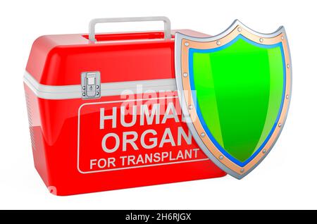 Portable fridge for transporting donor organs with shield, 3D rendering isolated on white background Stock Photo