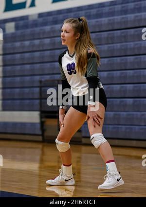 Volleyball action with Snake River vs Sugar Salem High School in Coeur d'Alene, Idaho. Stock Photo