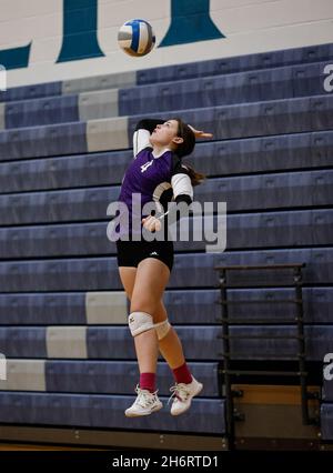 Volleyball action with Snake River vs Sugar Salem High School in Coeur d'Alene, Idaho. Stock Photo