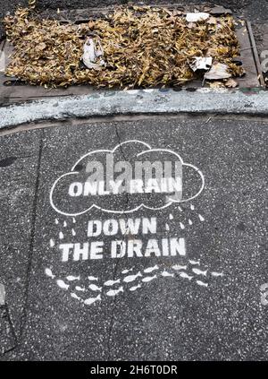 Down The Drain  The New Yorker