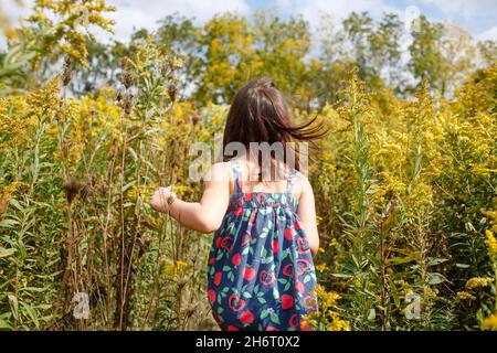 Little girl walks through tall field of wildflowers in windy day Stock Photo