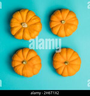 Mini orange pumpkins on teal backdrop Stock Photo