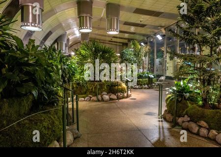 New York, USA. 17th Nov, 2021. The Butterfly Conservatory is reopening to the public at the American Museum of Natural History in New York, New York, on Nov. 17, 2021. (Photo by Gabriele Holtermann/Sipa USA) Credit: Sipa USA/Alamy Live News Stock Photo