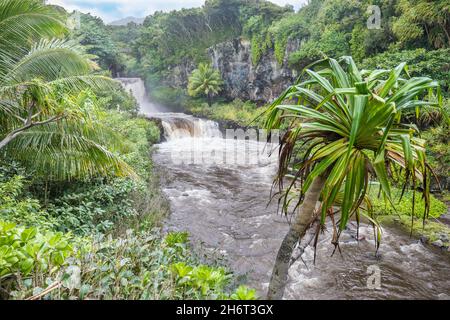 Dangerous flash flood waters flow through Oheo Gulch in Kipahulu, located in Haleakala National Park and often incorrectly referred to as Seven Sacred Stock Photo