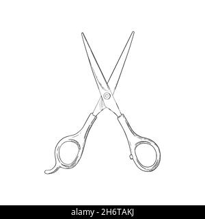Scissors sketch. Hairdresser shears tool. Vector illustration isolated in white background Stock Vector