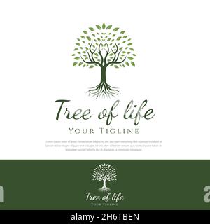 Tree of life logo design root tree.green plant nature line symbol,green branch with leaf business sign vector illustration Stock Vector