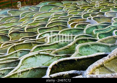 Mineral terraces in Egerszalok thermal spa Stock Photo