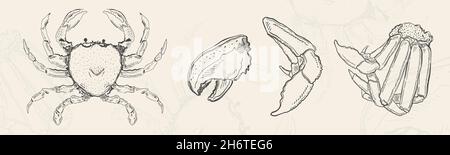 Illustration sketch food.Hand drawn element design menu. Isolated object in white background Stock Vector