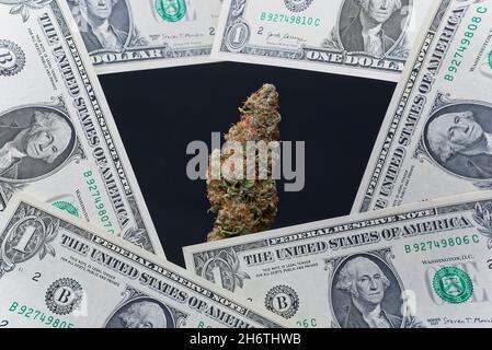 Big cannabis bud on black background with US one dollar notes around. Stock Photo