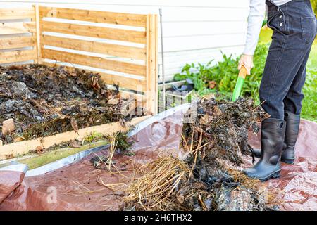 A gardener wearing plastic boots and overalls is turning a compost pile using a shovel or fork. the worker transfers partially composted material from Stock Photo