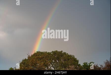 Rainbow over trees on a wet raining overcast day with grey clouds and sky in Autumn in the UK. Stock Photo