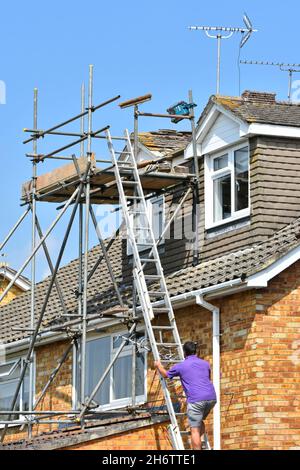 Builder man climbing up ladder on scaffold tower around dormer rooms for roof maintenance repair & refit plain roof ridge tiles to house England UK Stock Photo