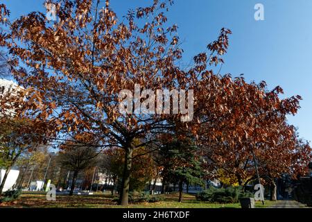 Katowice (SL) on a sunny autumn day. Stock Photo