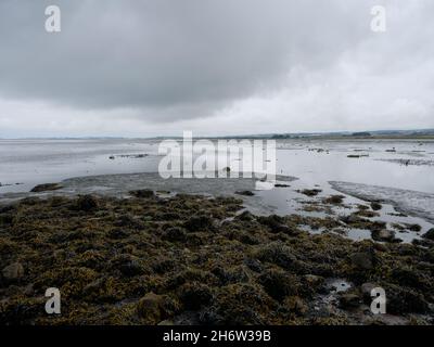 View from the Lindisfarne tidal causeway  linking the historic Holy Island of Lindisfarne with the mainland of Northumberland England UK - coastline Stock Photo