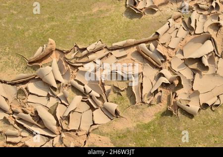 Dry lake or swamp in the process of drought and lack of rain or moisture, a global natural disaster. The cracked soil of the earth due to climate chan Stock Photo