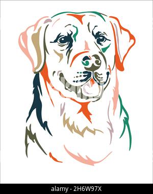 Labrador retriever dog color contour portrait. Dog head in front view vector illustration isolated on white. For decor, design, print, poster, postcar Stock Vector