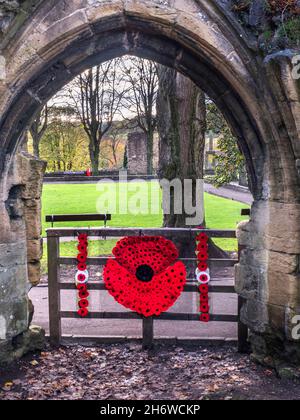 2021 marks the 100th anniversary of the remembrance poppy