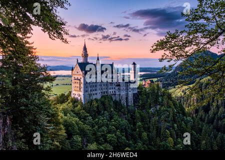 Panoramic view of the castle Neuschwanstein at sunset. Stock Photo