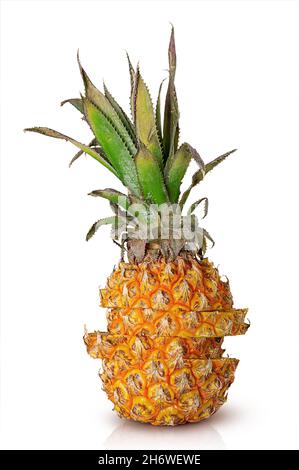 Stacked stack of sliced pineapple slices isolated on white Stock Photo