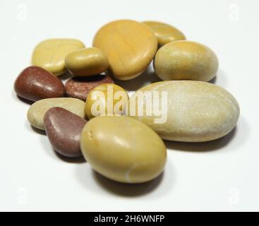 colorful sea stone collection on white floor. Stock Photo