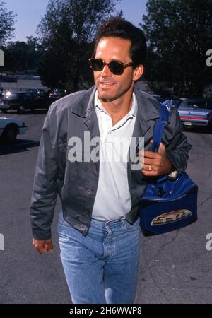 Gregory Harrison Circa 1980's Credit: Ralph Dominguez/MediaPunch Stock Photo