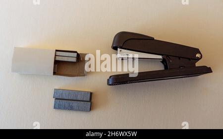 Stapler and staples Stock Photo