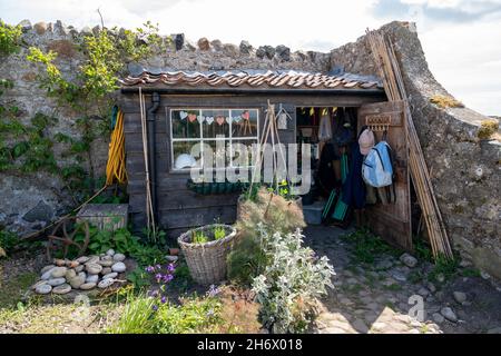 Gertrude Jekyll's Garden on Lindisfarne, Holy Island, in springtime, with her attractive potting shed. Stock Photo