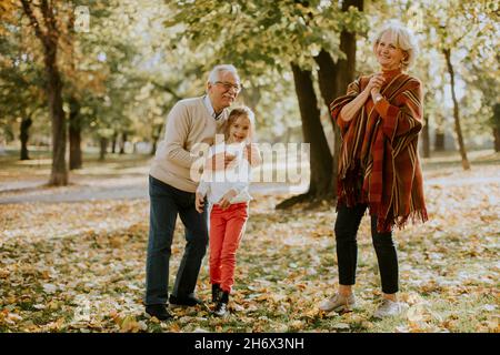 Grandparents enjoying good time with their cute little granddaughter Stock Photo