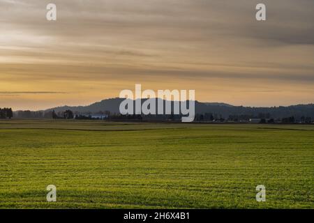 Sunset in the Sumas prairie in the City of Chilliwack, BC. Stock Photo