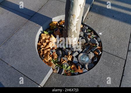 Katowice (SL) on a sunny autumn day. Stock Photo
