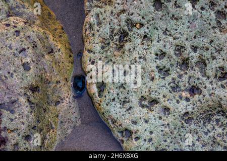 small black stone of pebble sandwiched between two larger white boulders on a beach or tidepool, small back shape between two larger white shapes, Stock Photo