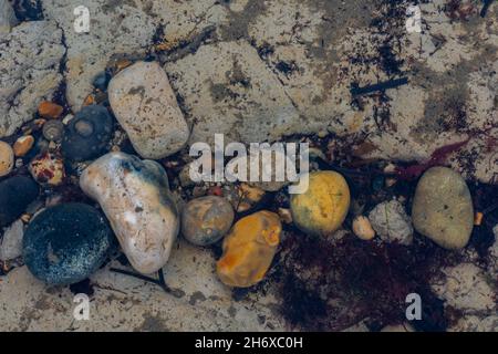 variety of different coloured and shaped pebbles in a tidepool on a beach in an abstract natural composition, pebbles on beach in rockpool seaweed. Stock Photo
