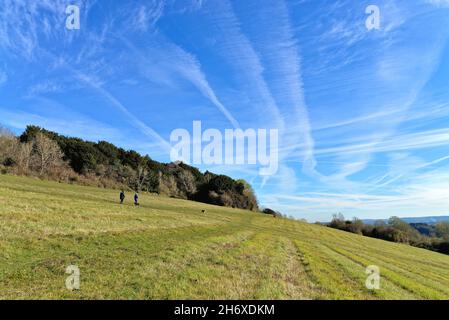 Aircraft contrails patterns in the blue sky over the Surrey Hills at Newlands Corner near Guildford England UK Stock Photo