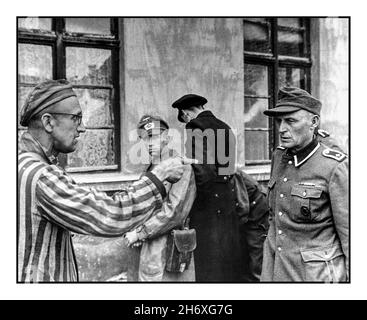 BUCHENWALD LIBERATION ACCUSED  WW2 Powerful stark image of a Jewish Russian survivor liberated in 1945 by the U.S. Army at the notorious Buchenwald concentration camp in Germany. He confronts and identifies a former guard from the Nazi SS who was brutally beating prisoners and most probably involved in the crimes of the Nazi Holocaust. 5 June 1945 World War II Second World War Stock Photo